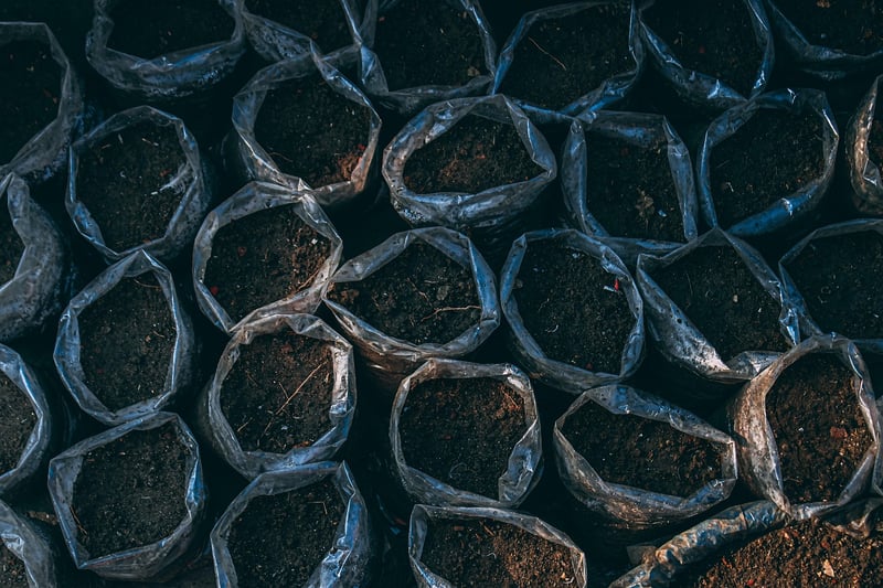 Container Gardening Tips